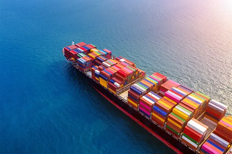 Import and Export Consultancy